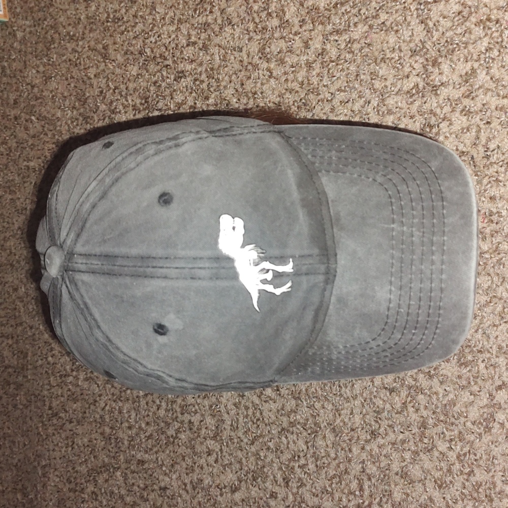 RH Screen Printed T-Rex Charcoal Strapback Hat